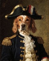 Exemple de portrait L’Amiral pour un chien